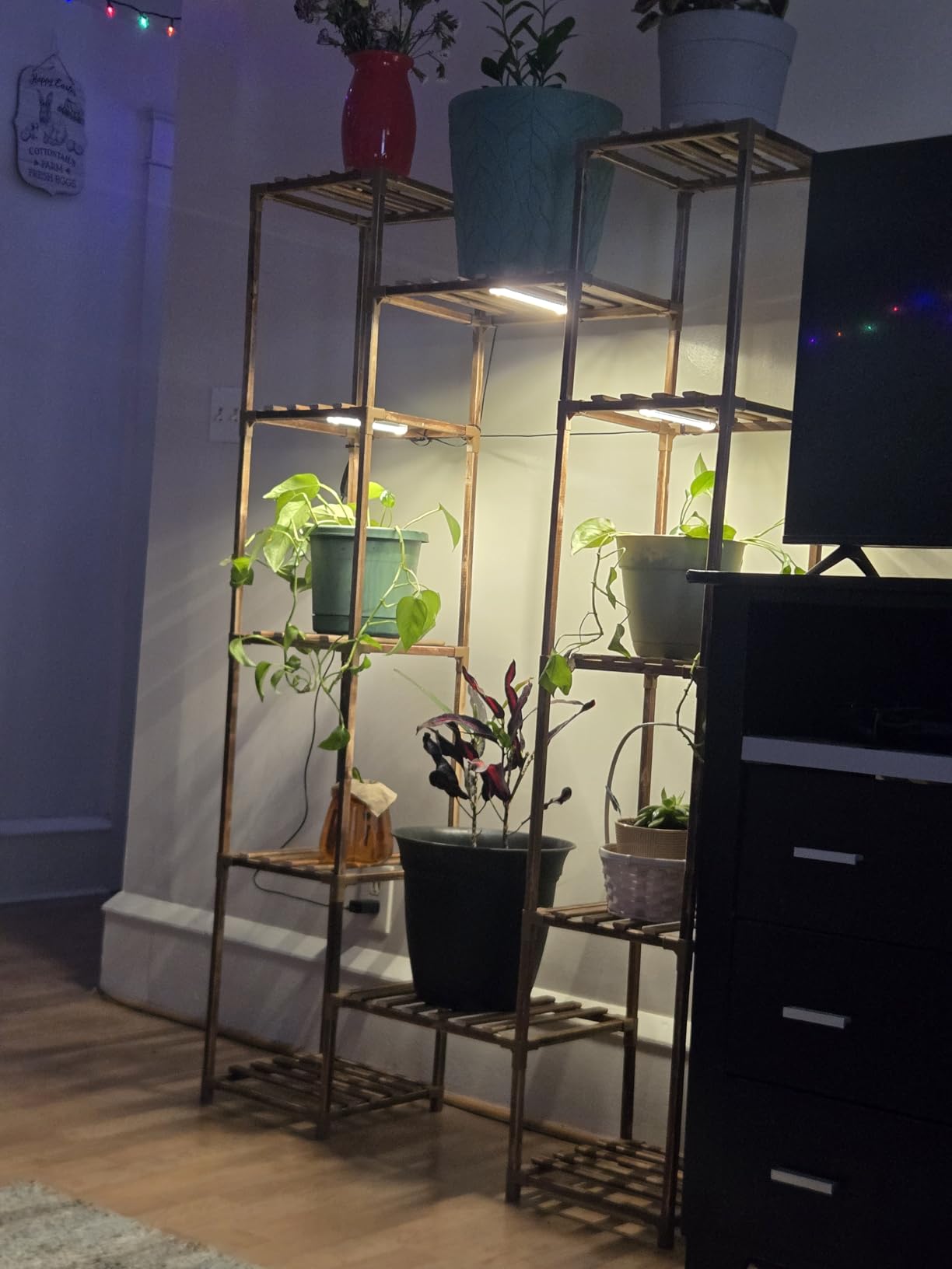 GENTINGBRO Plant Stand with Grow Lights for Indoor Plants 62.2'' Tall Plant Shelves customer photo 2