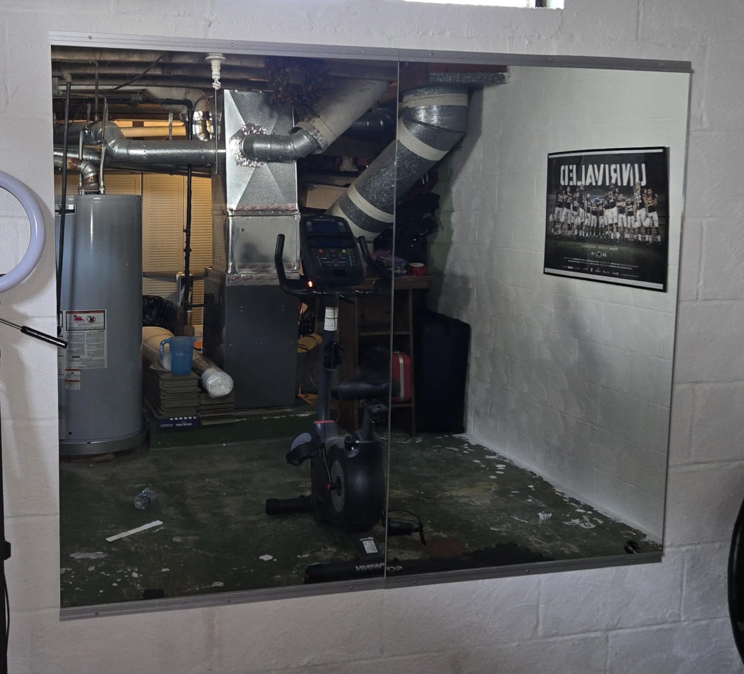 LOAAO Home Gym Mirror 48