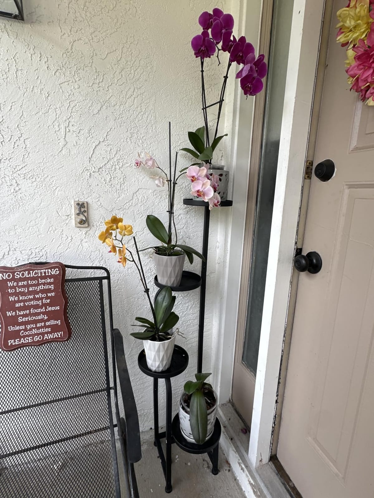 Bamworld Plant Stand with Grow Light Corner Metal Flower Pot Stands customer photo 2
