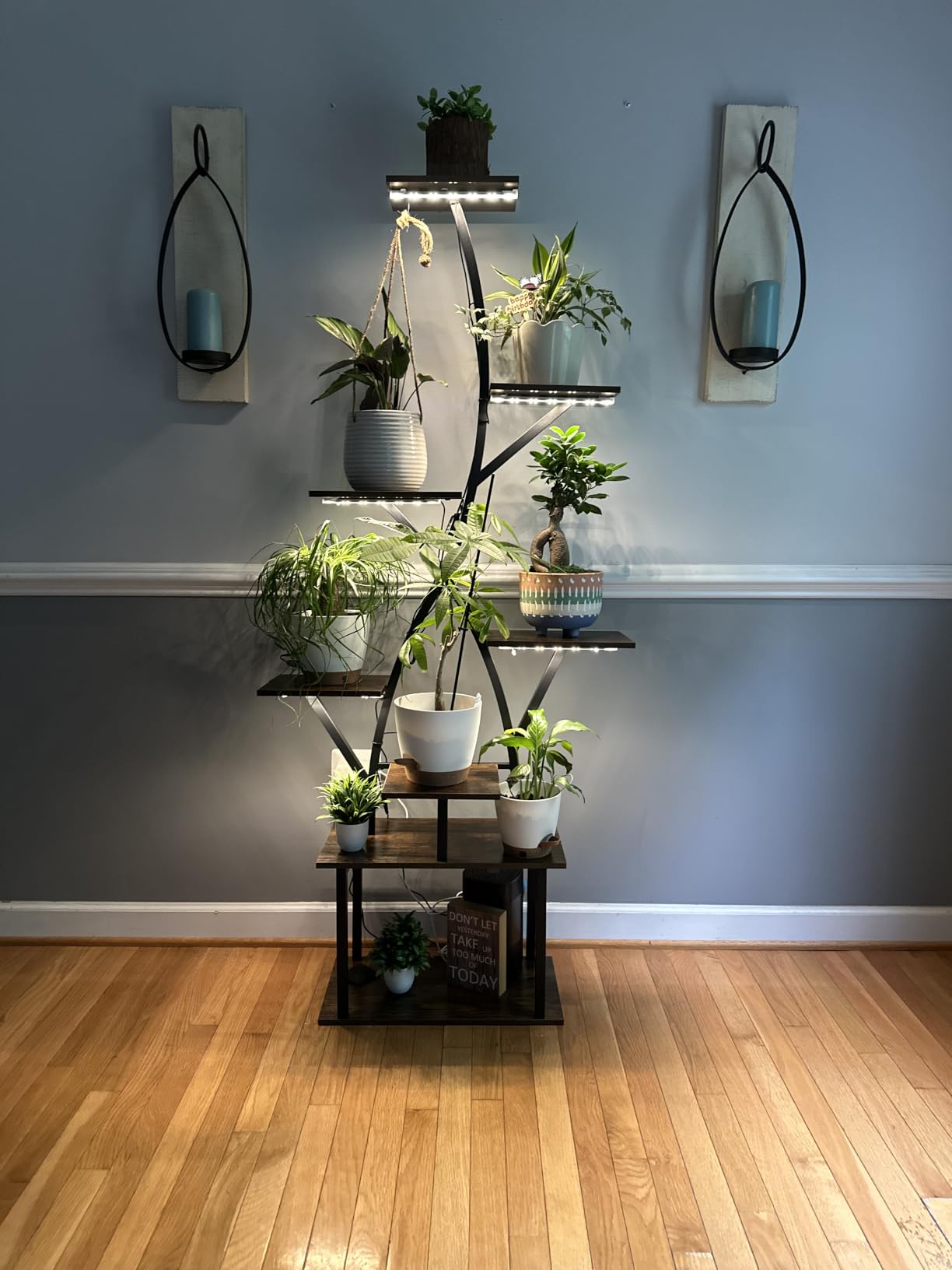 Plant Stand Indoor with Grow Lights 65
