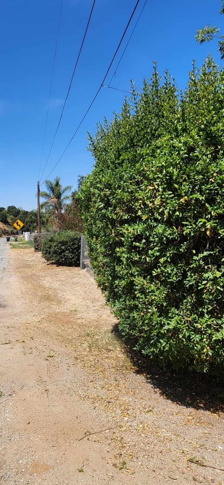 24'' Cordless Hedge Trimmer with 2 Batteries & Charger, Brushless Motor customer photo 2
