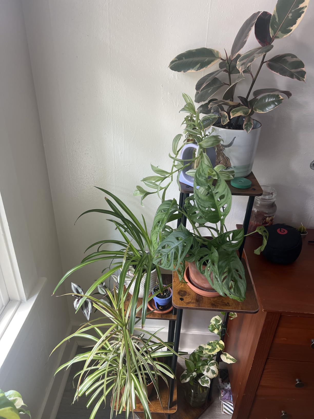 Bamworld Tall Plant Stand Indoor with Grow Light Corner Plant Shelf customer photo 2