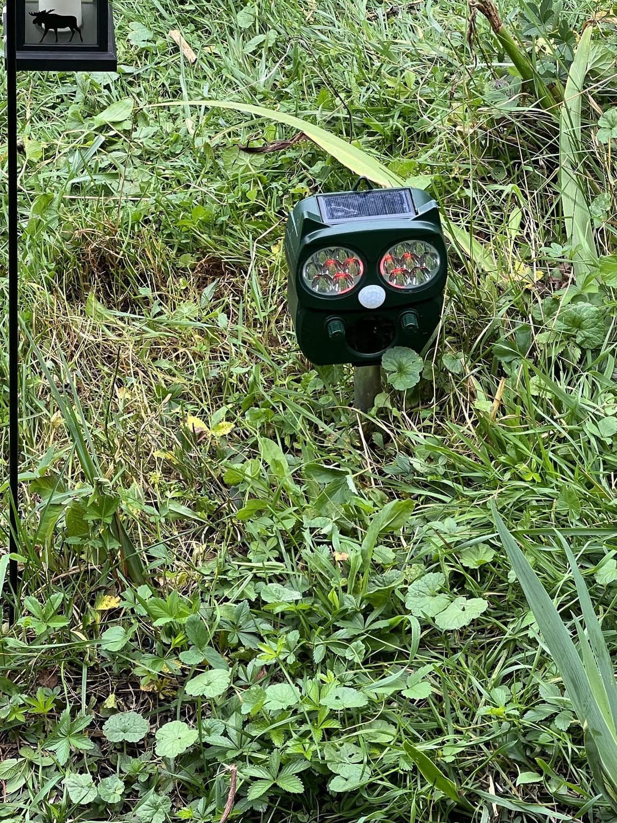 Solar Animal Repeller, Ultrasonic Repellent, Motion Detection, LED Flashing Light, Dog, Cat Repellent, Squirrel, Raccoon, Skunk, Rabbit, Rodent, Fox, Deer, etc. customer photo 1