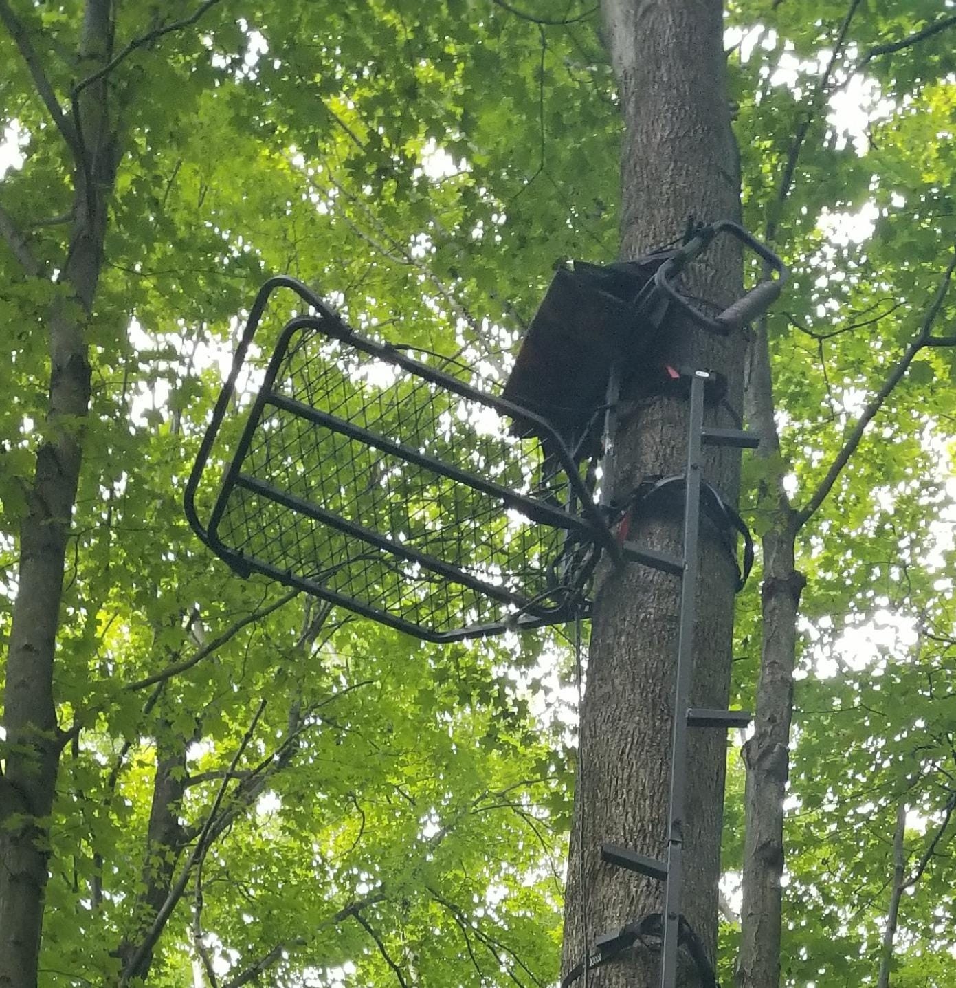 Guide Gear Deluxe Hang-On Tree Stand Chair for Hunting Cushion Seat Hunt Gear Equipment Accessories, Camo customer photo 2