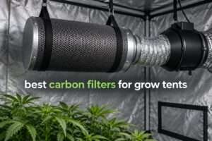 best carbon filters for grow tents