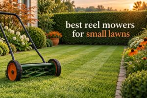 best reel mowers for small lawns