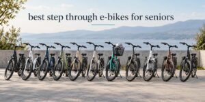 best step through e-bikes for seniors